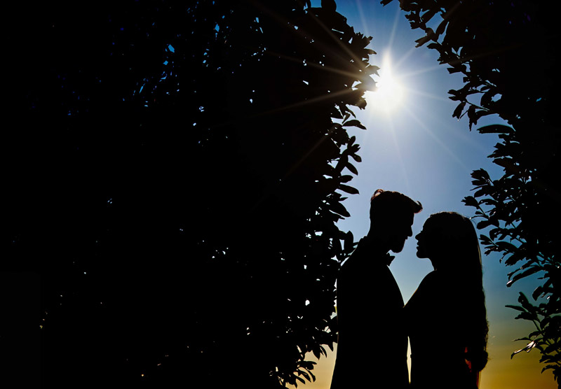 silhouette of wedding couple in the gap in a hedge with the sun and blue sky for the discussion on Choosing a wedding photographer